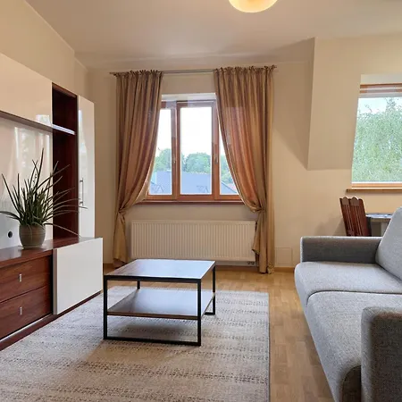 Nemunas Street 公寓