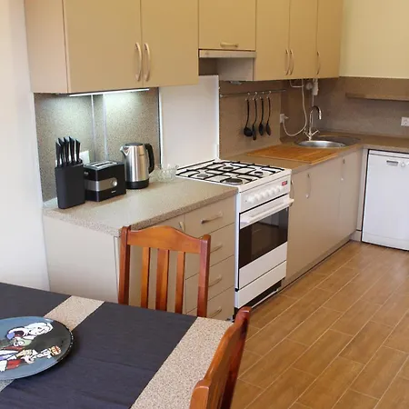 Nemunas Street 公寓 考纳斯