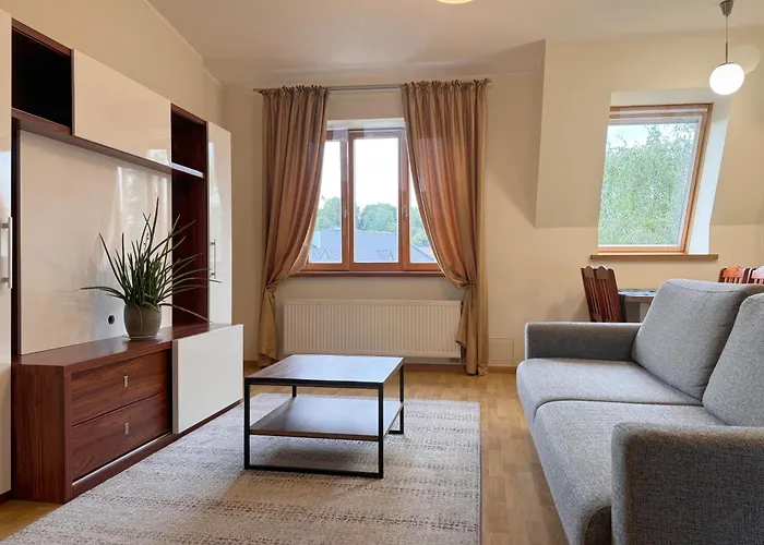 Nemunas Street דירה