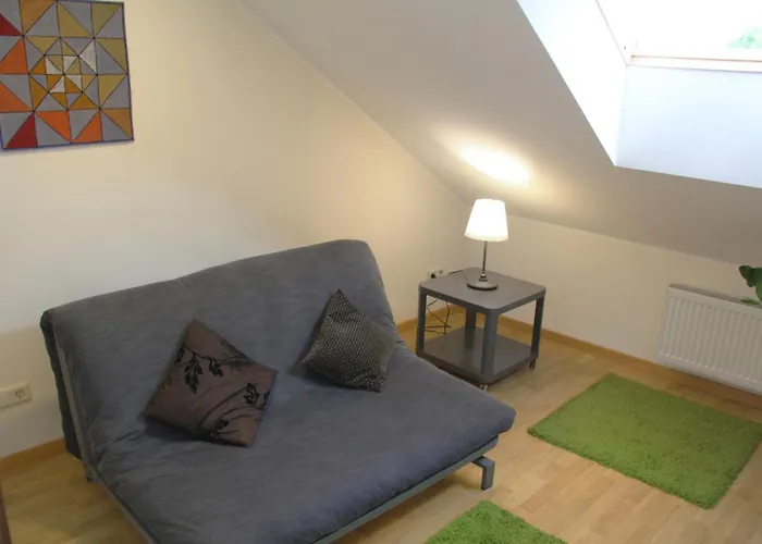 Nemunas Street דירה