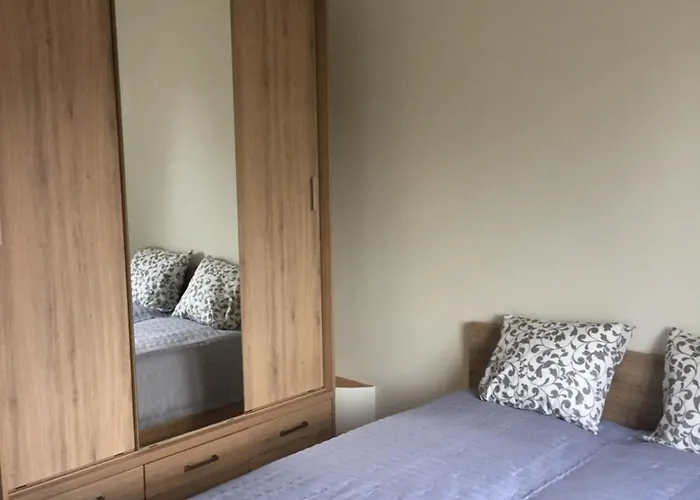 Nemunas Street דירה *